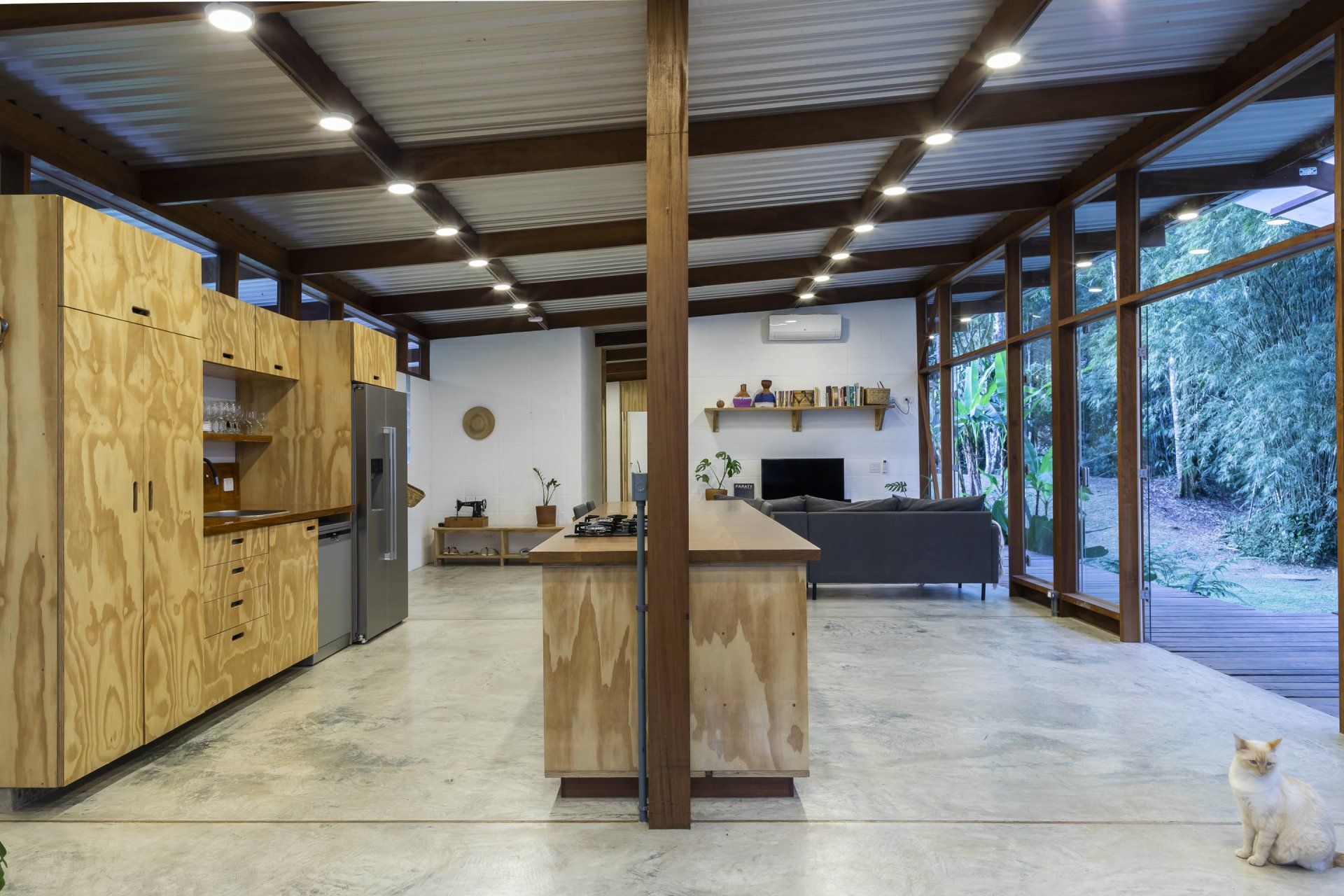 Um gato está sentado no meio da cozinha de uma casa.