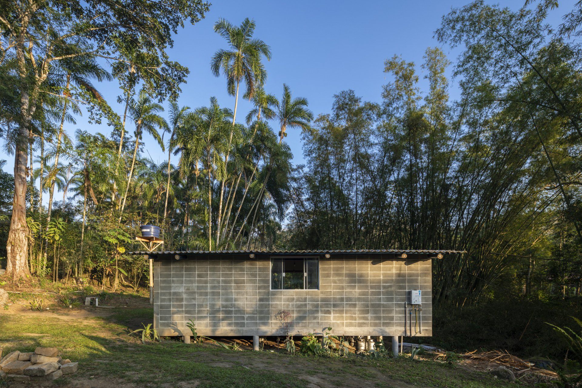Uma pequena casa no meio de uma floresta verdejante