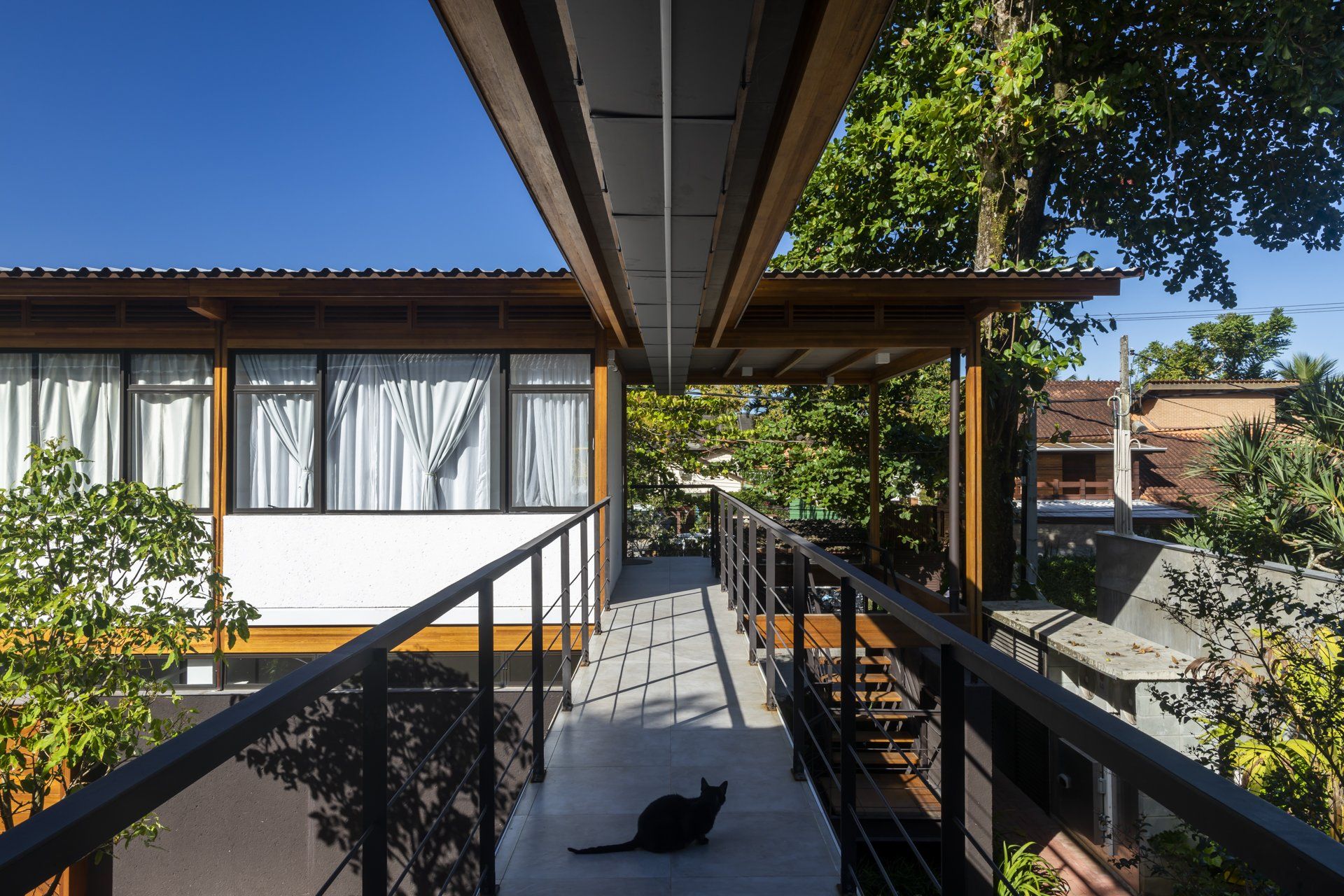 Um gato está sentado em uma passarela entre dois prédios.