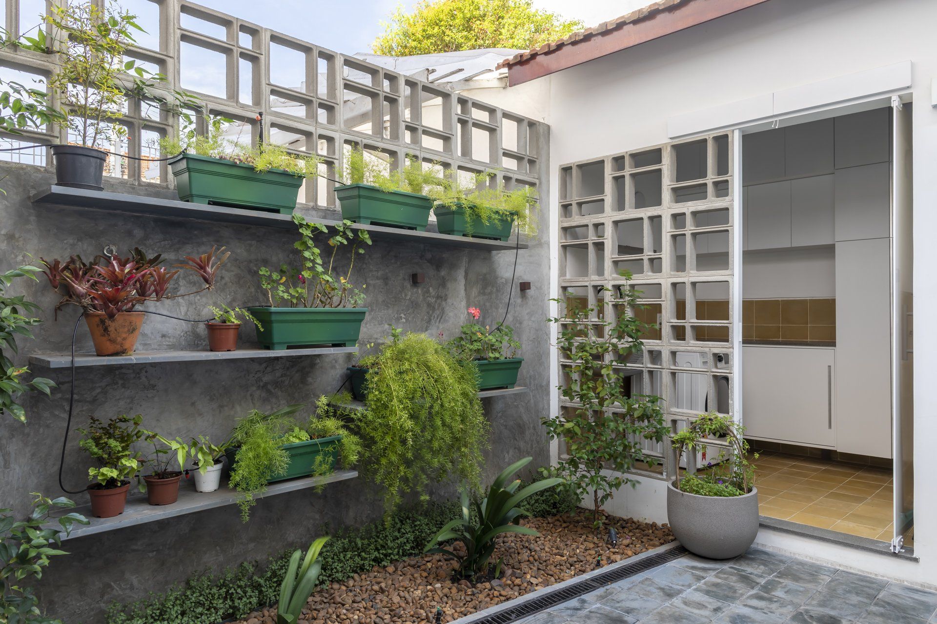 Há muitos vasos de plantas nas prateleiras do quintal.