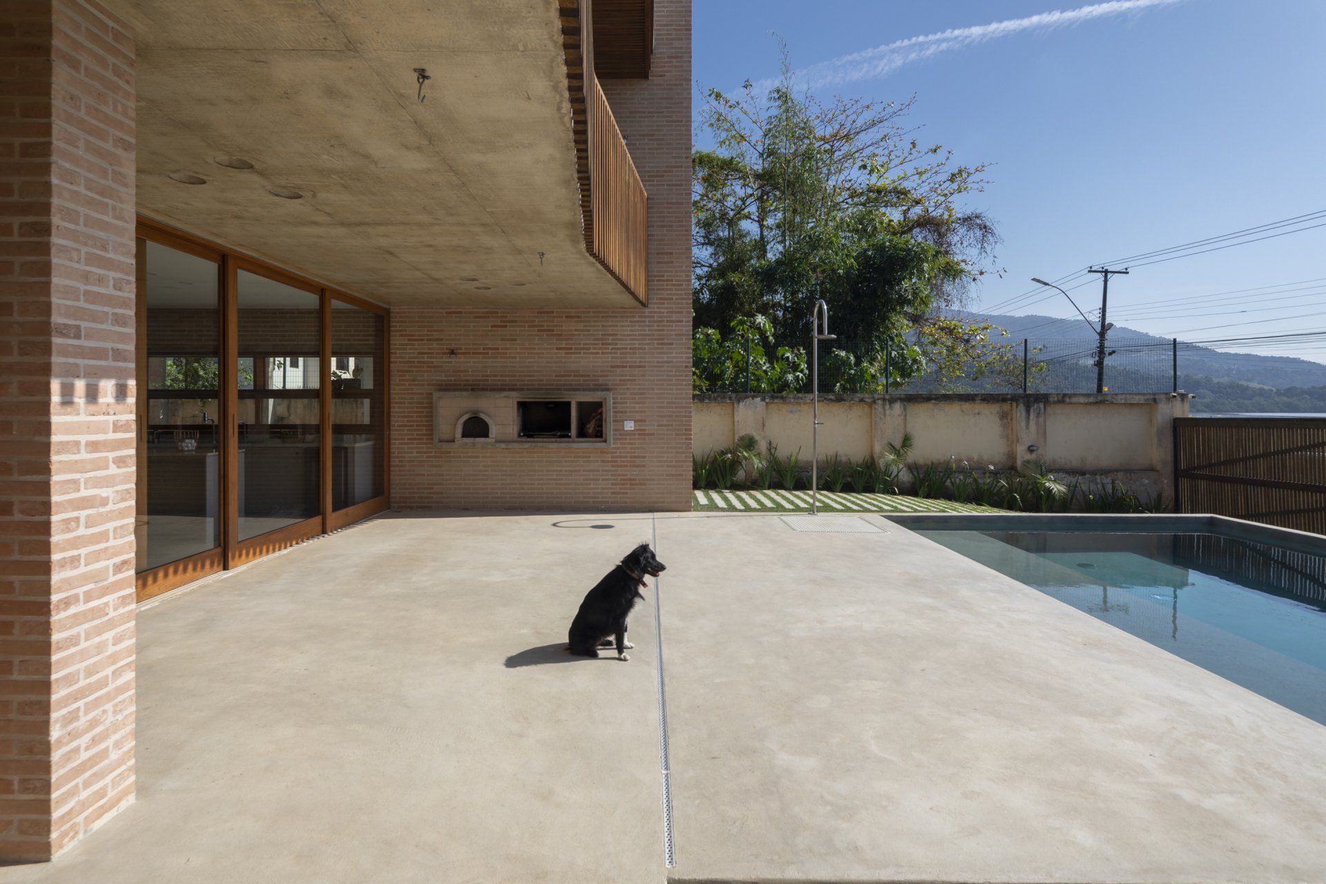 Um cachorro está sentado em um pátio ao lado de uma piscina.