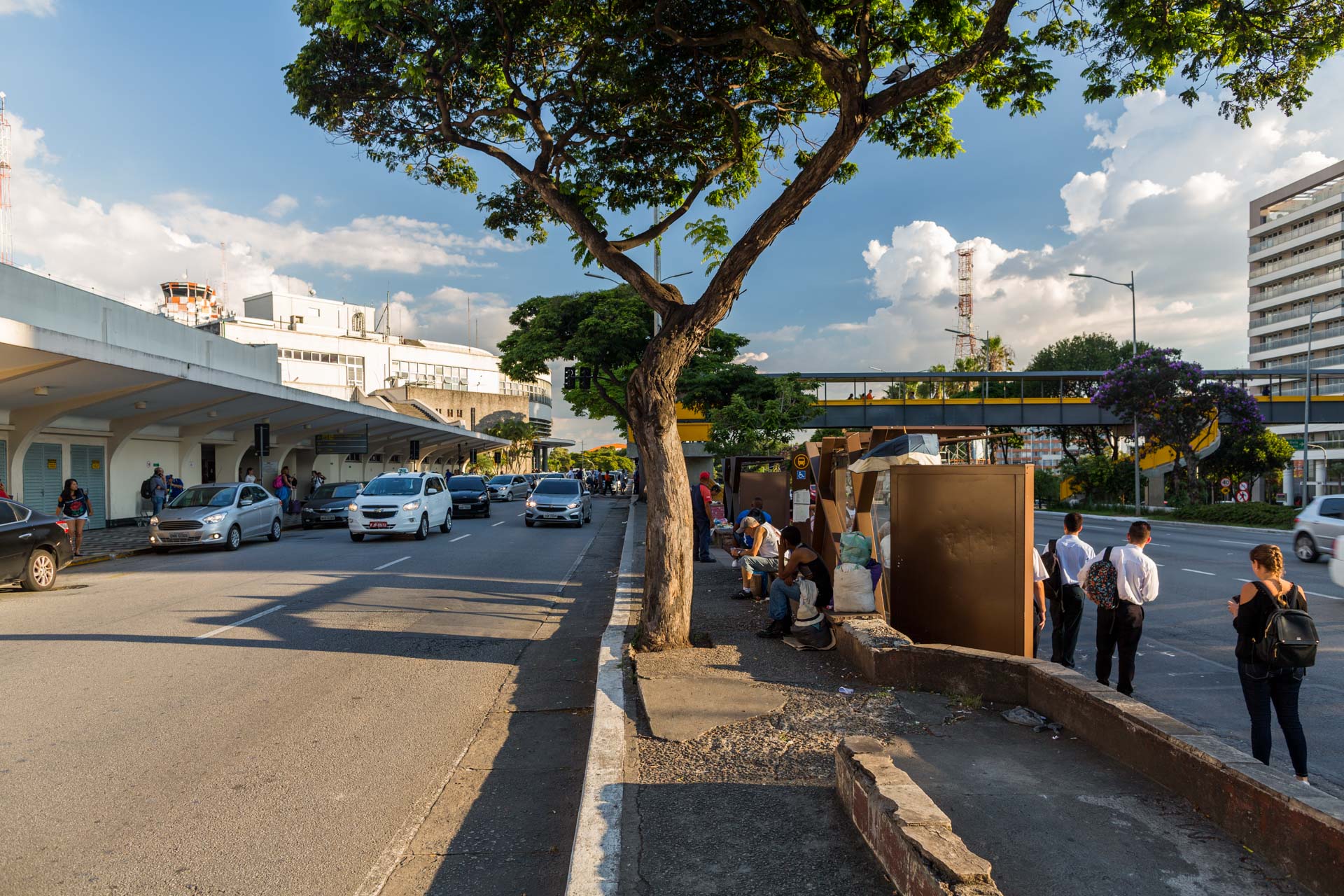 Um grupo de pessoas está esperando em um ponto de ônibus debaixo de uma árvore.