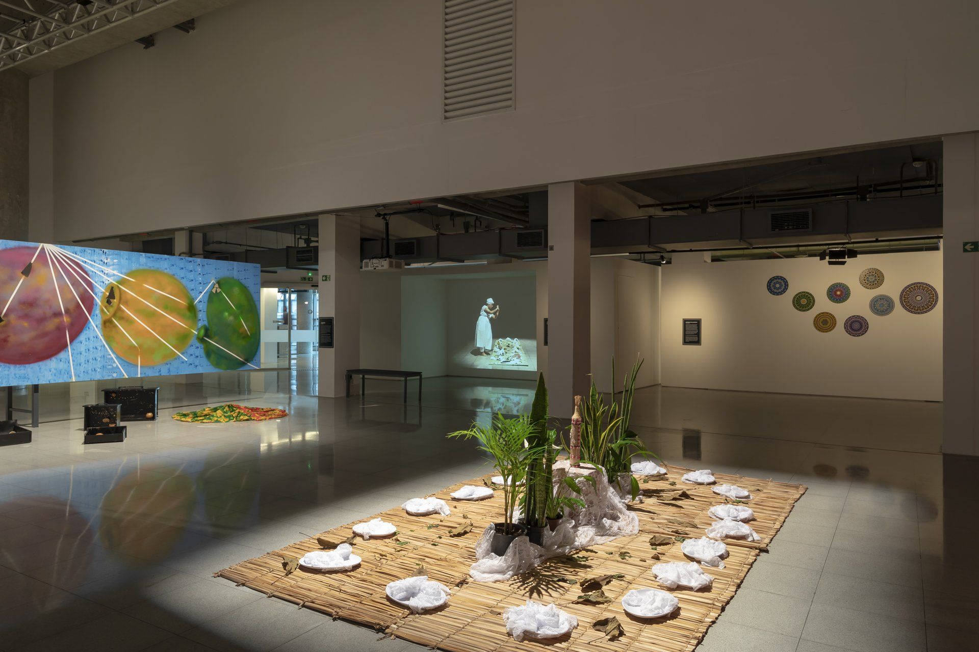 Uma sala grande com muitos pratos e plantas no chão.