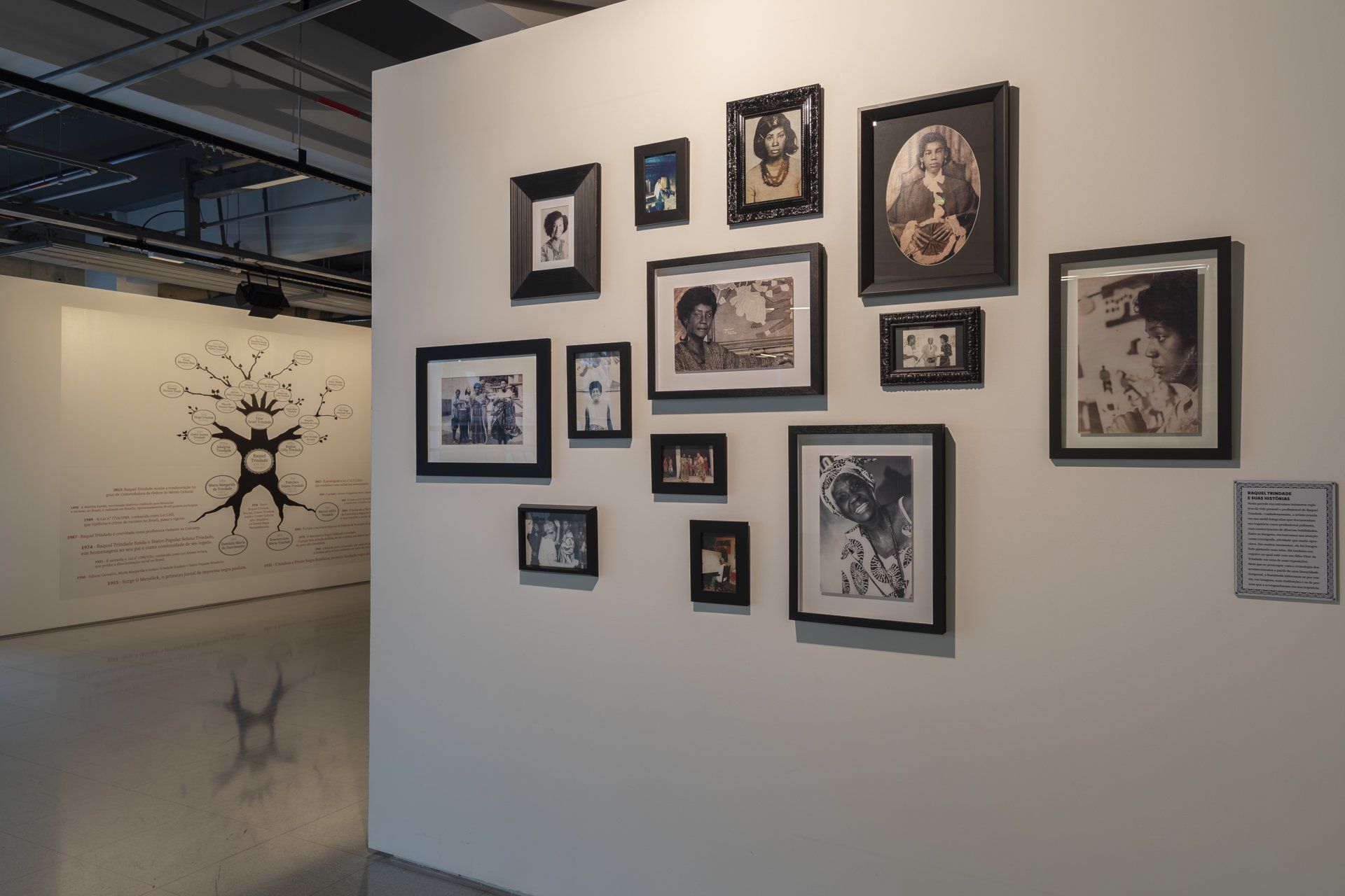 Uma parede com muitas fotos emolduradas.