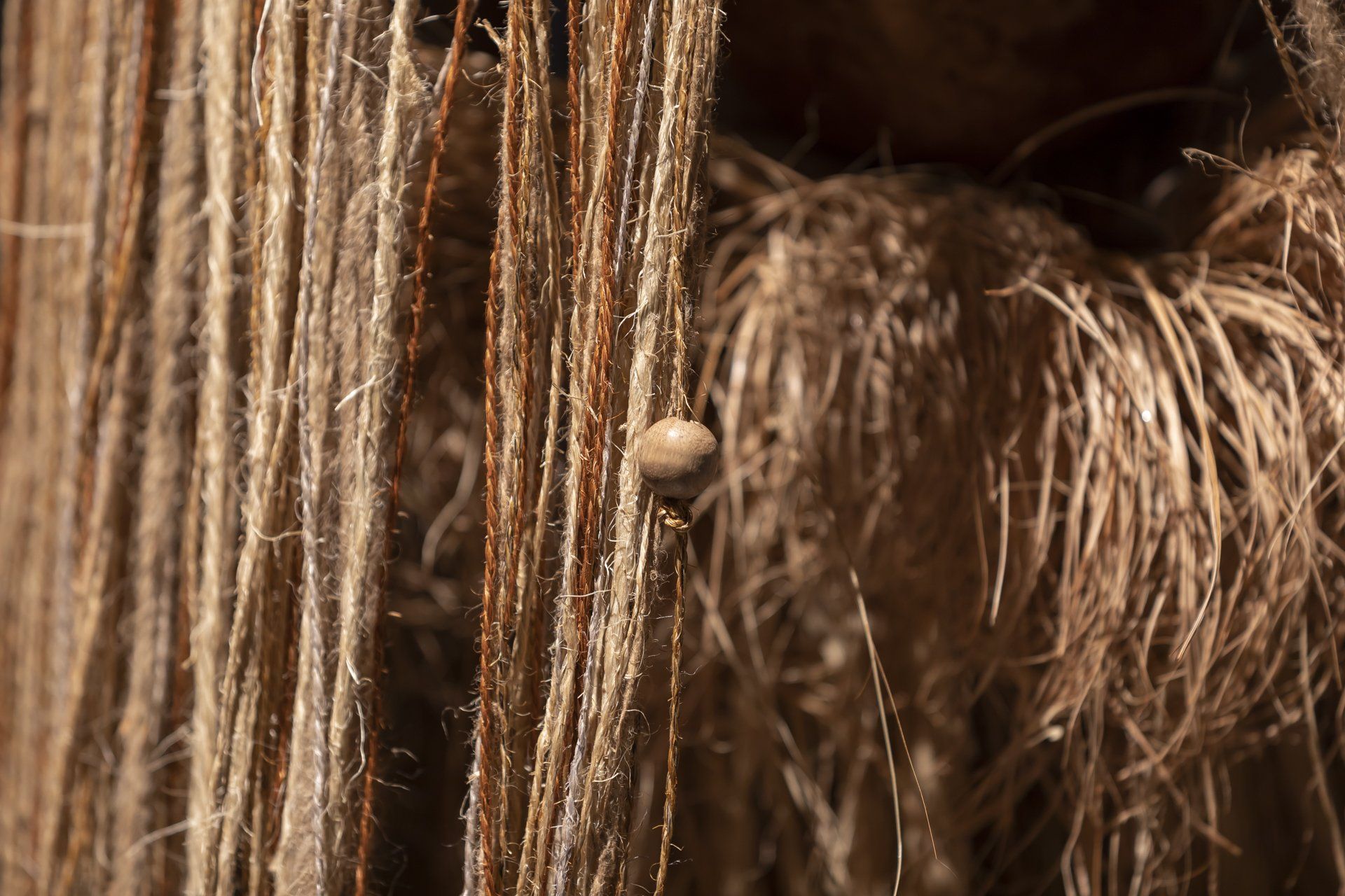Um close de uma corda com uma aranha nela.