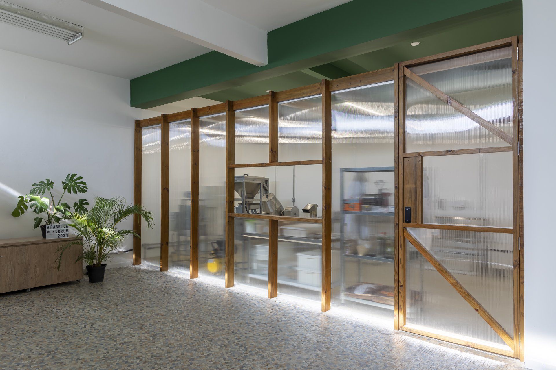 Um quarto com muitas janelas e uma planta no chão.