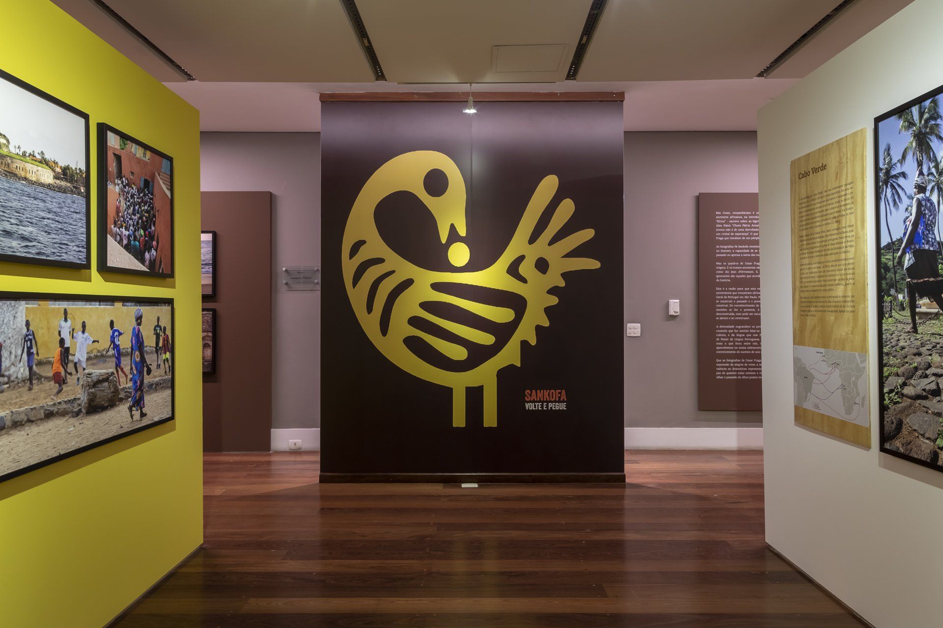 Um quarto com a foto de um pássaro na parede