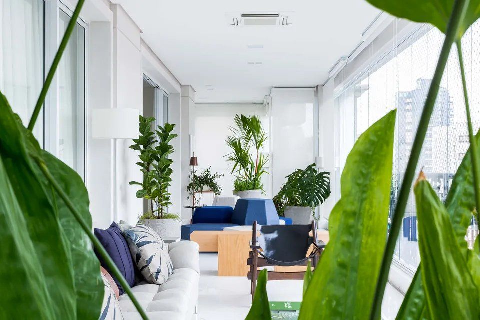 Uma sala com muitos móveis e plantas.