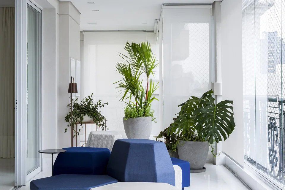 Uma sala de estar com sofá, mesa e vasos de plantas.