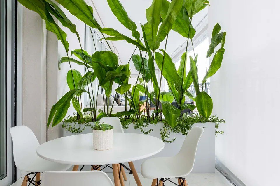 Há uma mesa e cadeiras na varanda com plantas ao fundo.