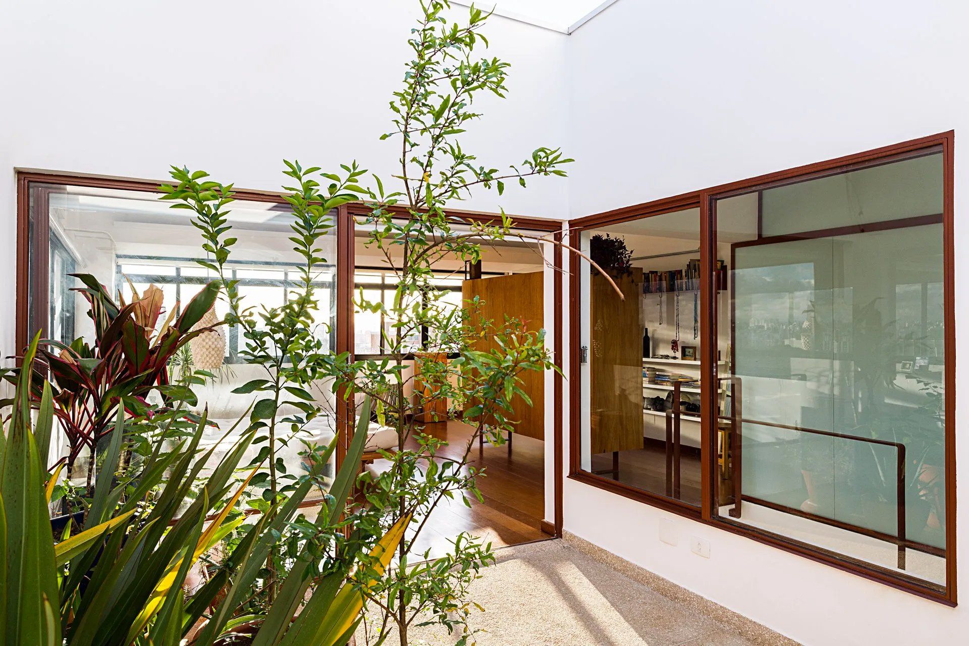 Uma casa com muitas janelas e uma árvore no meio.