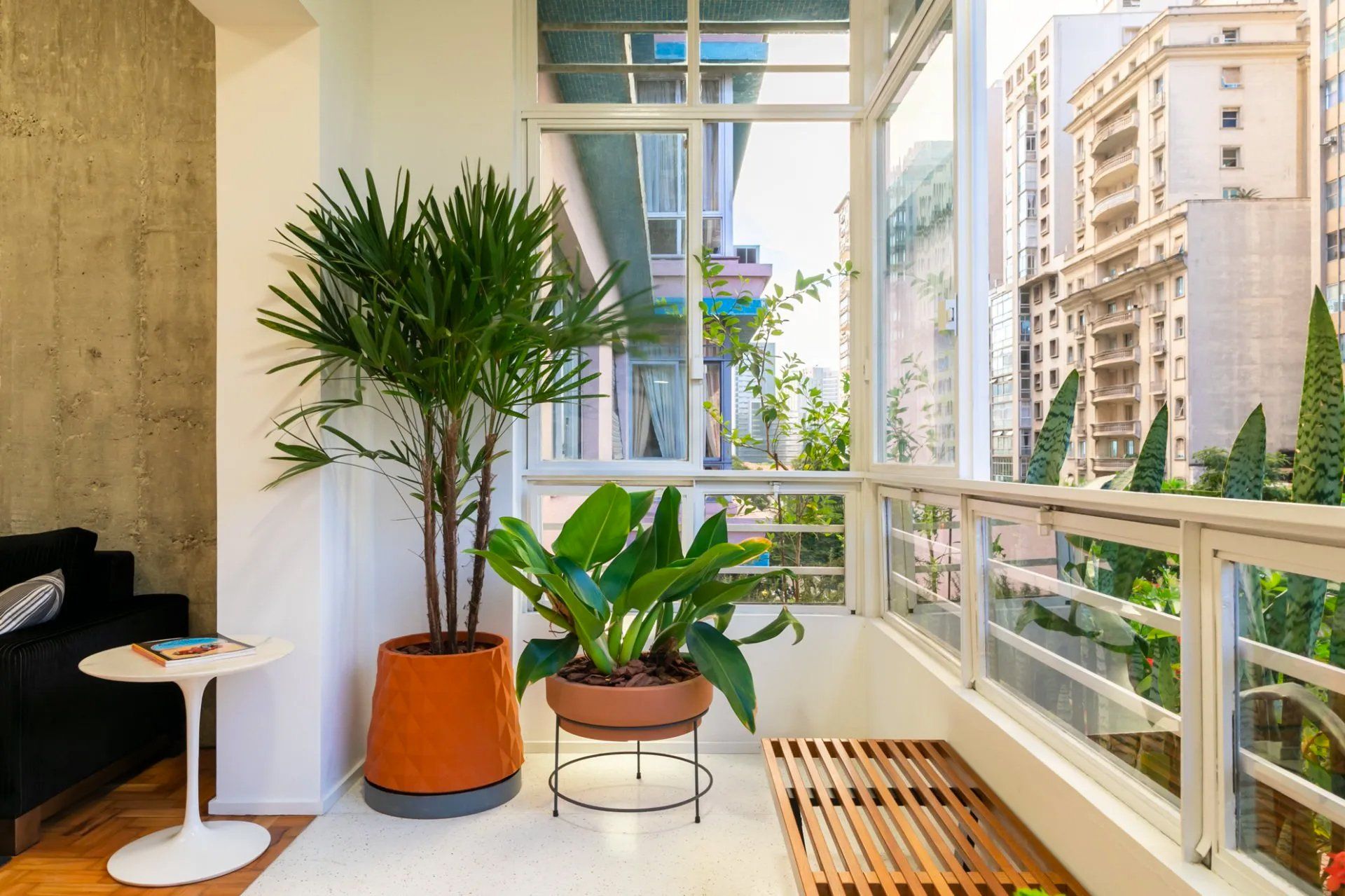 Uma varanda com muitos vasos de plantas e vista para a cidade.