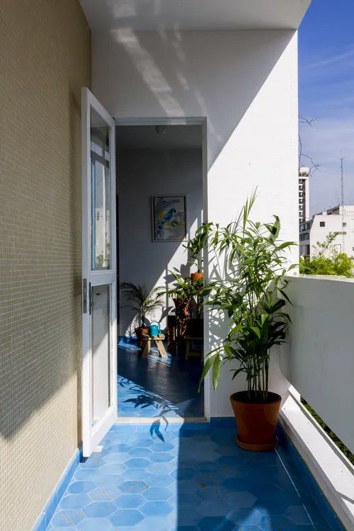 Uma varanda com azulejos azuis e vasos de plantas