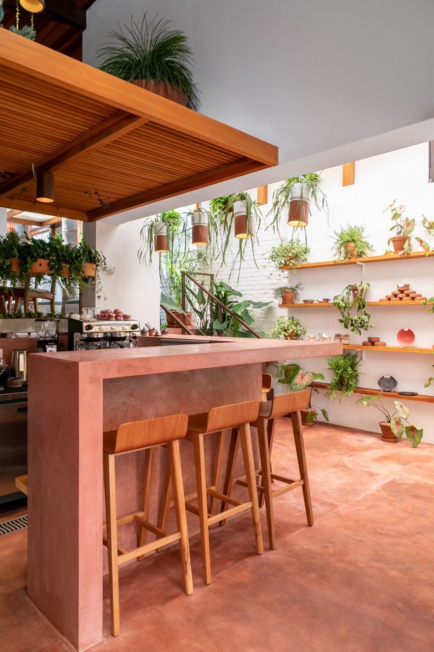 Uma cozinha com bar e bancos e plantas nas prateleiras.