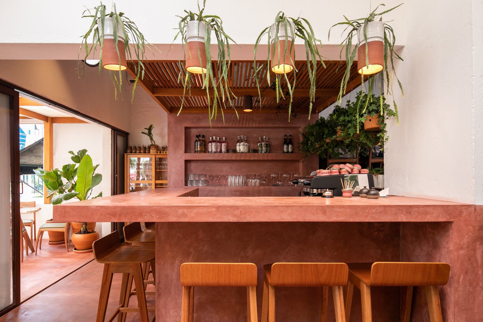 Um bar com bancos de madeira e plantas penduradas no teto.