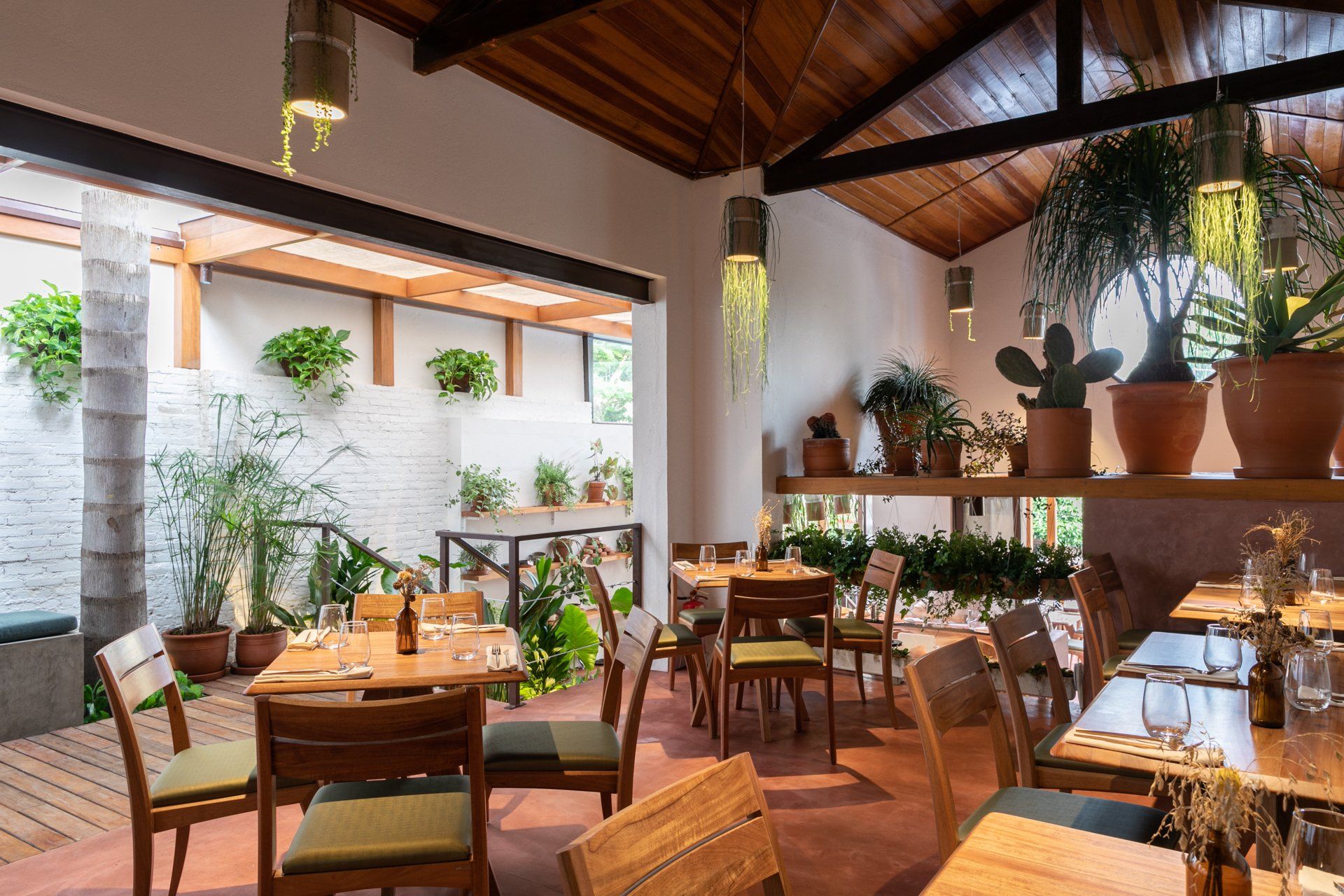 Um restaurante com mesas e cadeiras e vasos de plantas na parede.
