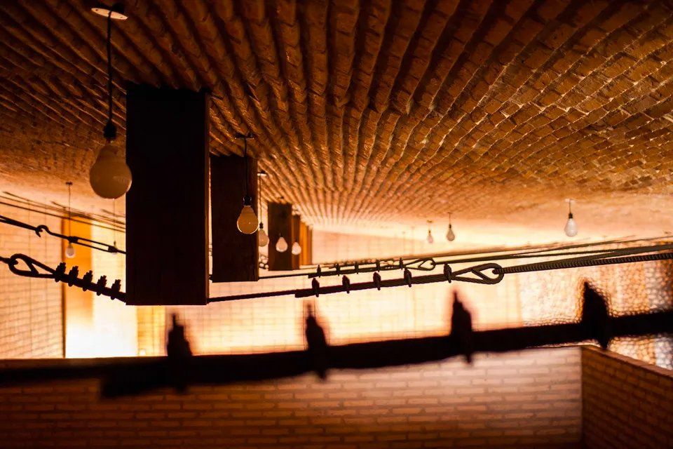 A sombra de um pássaro é projetada em uma cerca de arame farpado.