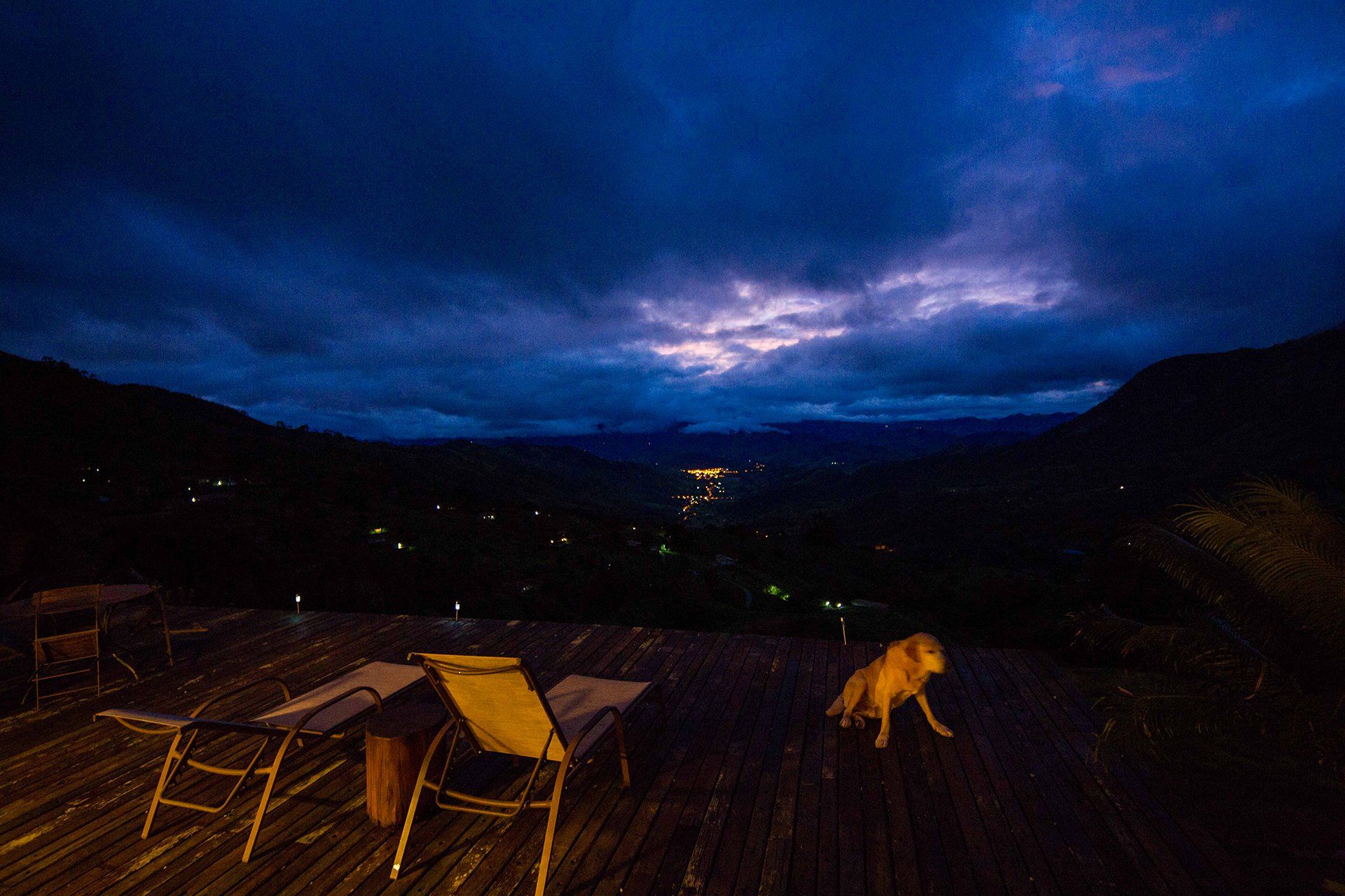 Um cachorro está parado em um deck de madeira à noite.