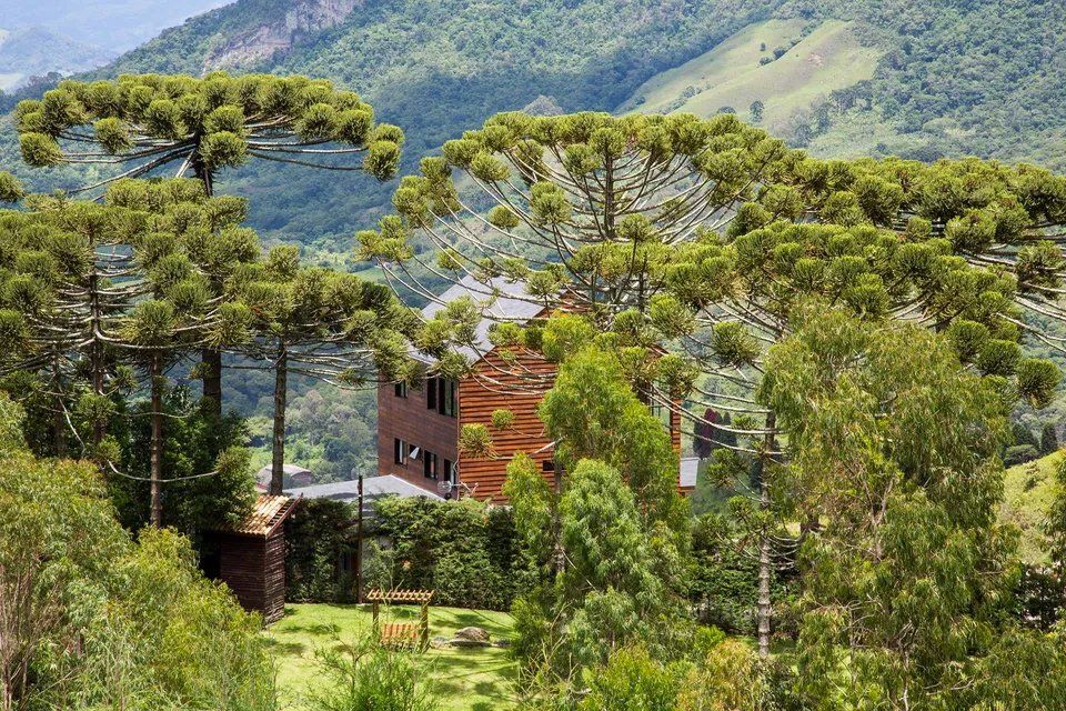 Uma casa no meio de uma floresta com montanhas ao fundo.
