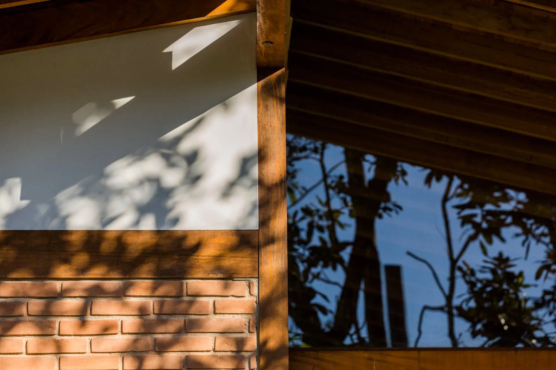 A sombra de uma árvore é projetada em uma parede de tijolos.