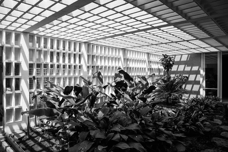 Uma foto em preto e branco de um prédio com muitas janelas e plantas.