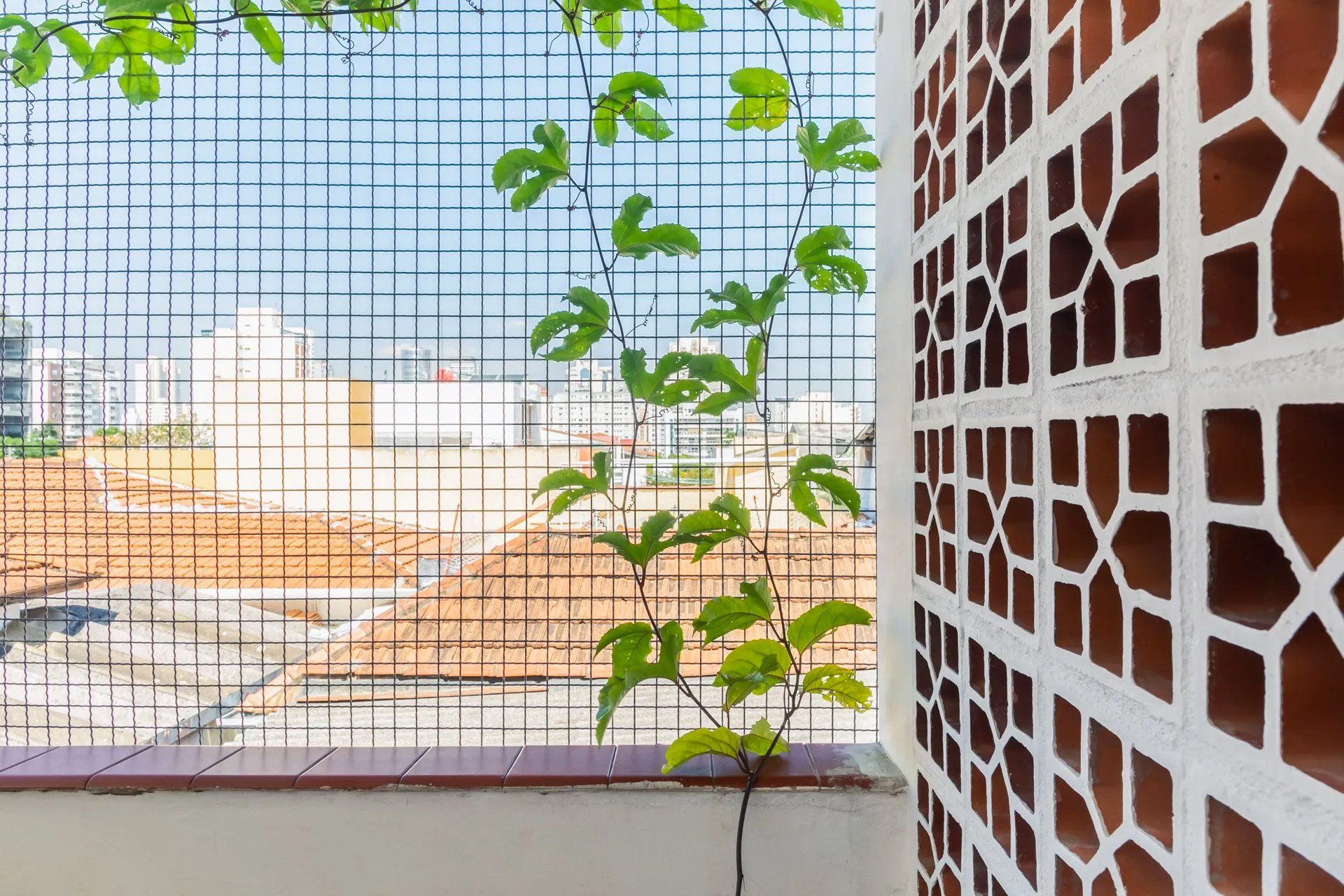 Uma varanda com uma cerca e uma planta crescendo nela.