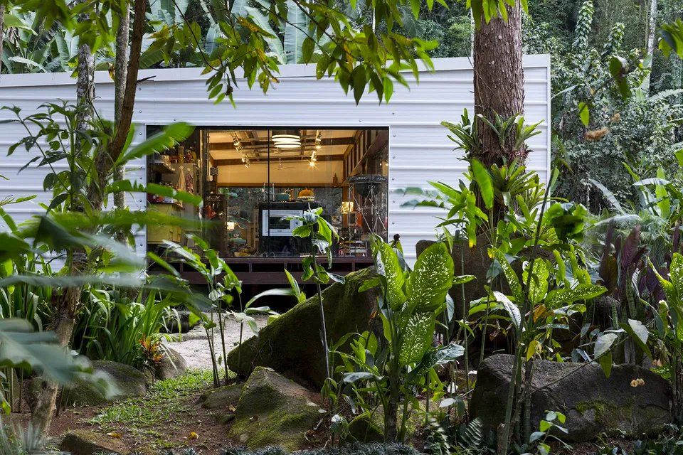 Uma casa branca no meio de uma floresta verdejante