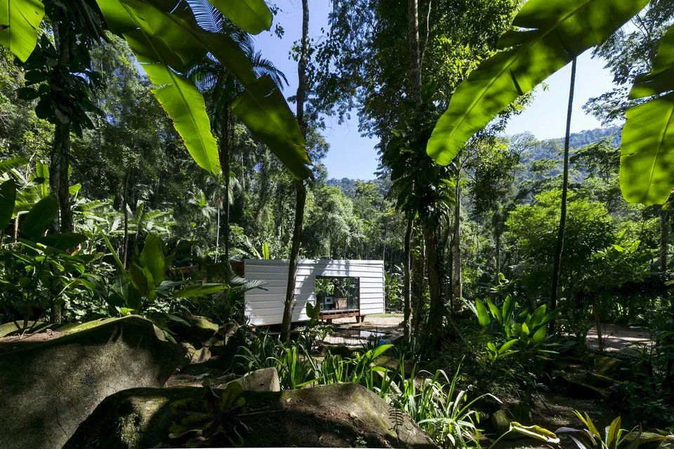 Uma casa no meio de uma floresta verdejante
