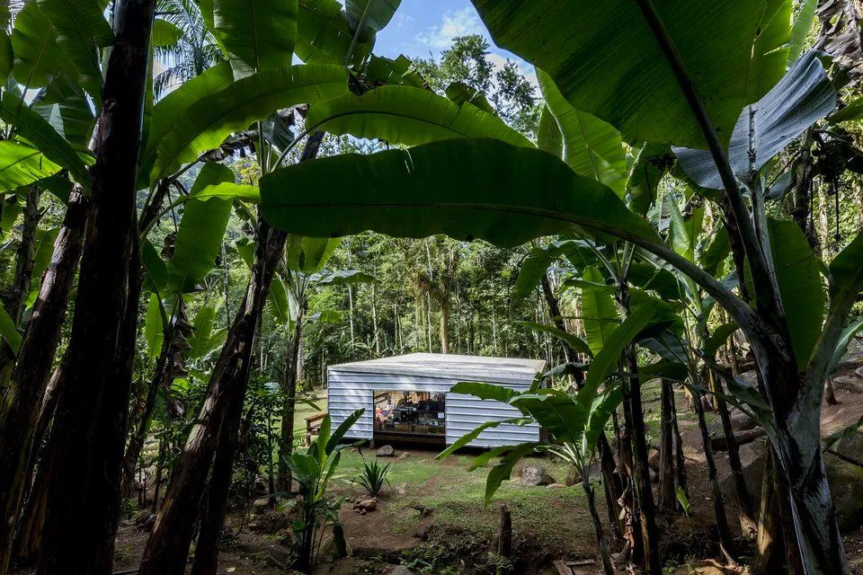 Um trailer branco está no meio de uma floresta verdejante.