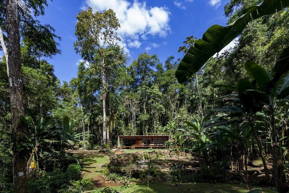 Uma casa no meio de uma floresta verdejante