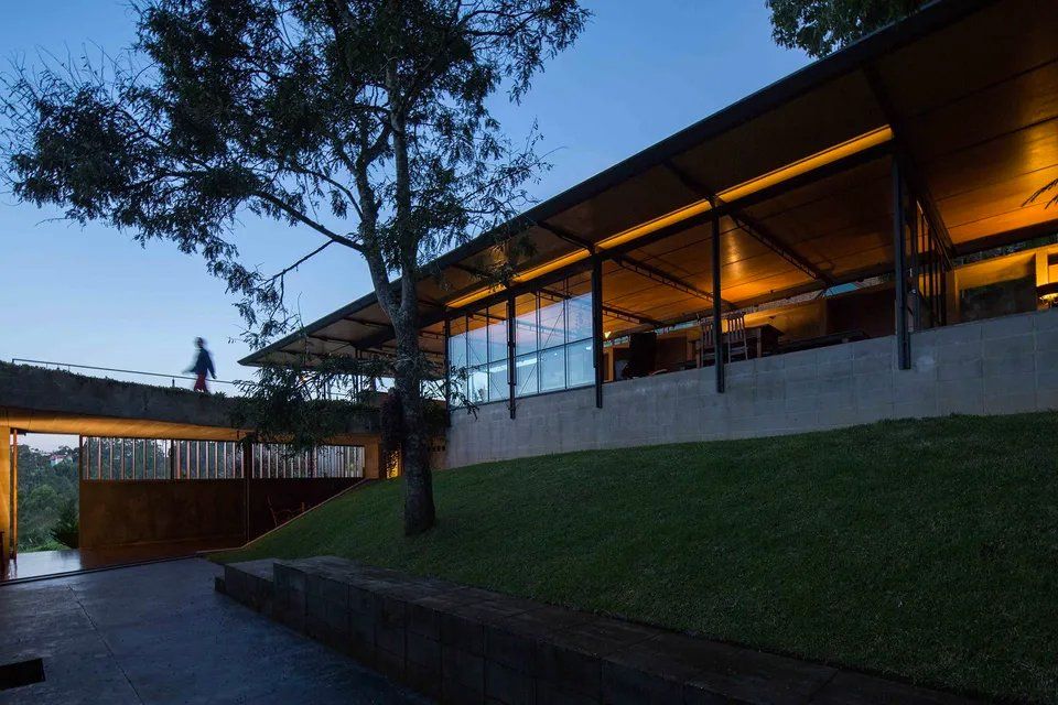 Um homem está no telhado de um prédio com uma árvore na frente.