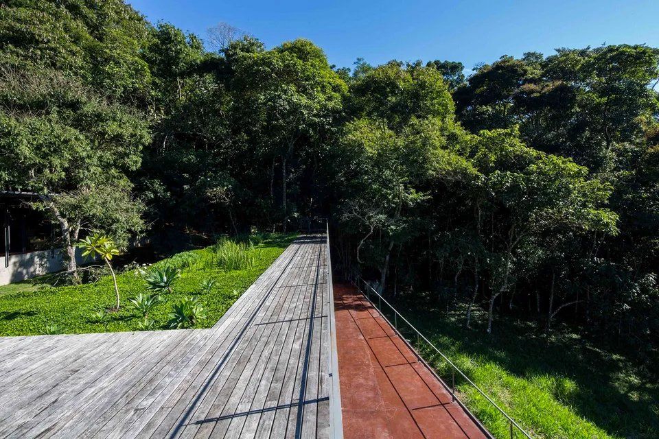Uma passarela de madeira que leva a uma floresta verdejante.