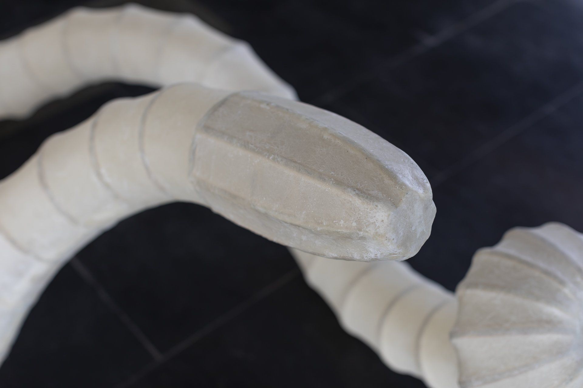 Um close de uma cobra branca com fundo preto