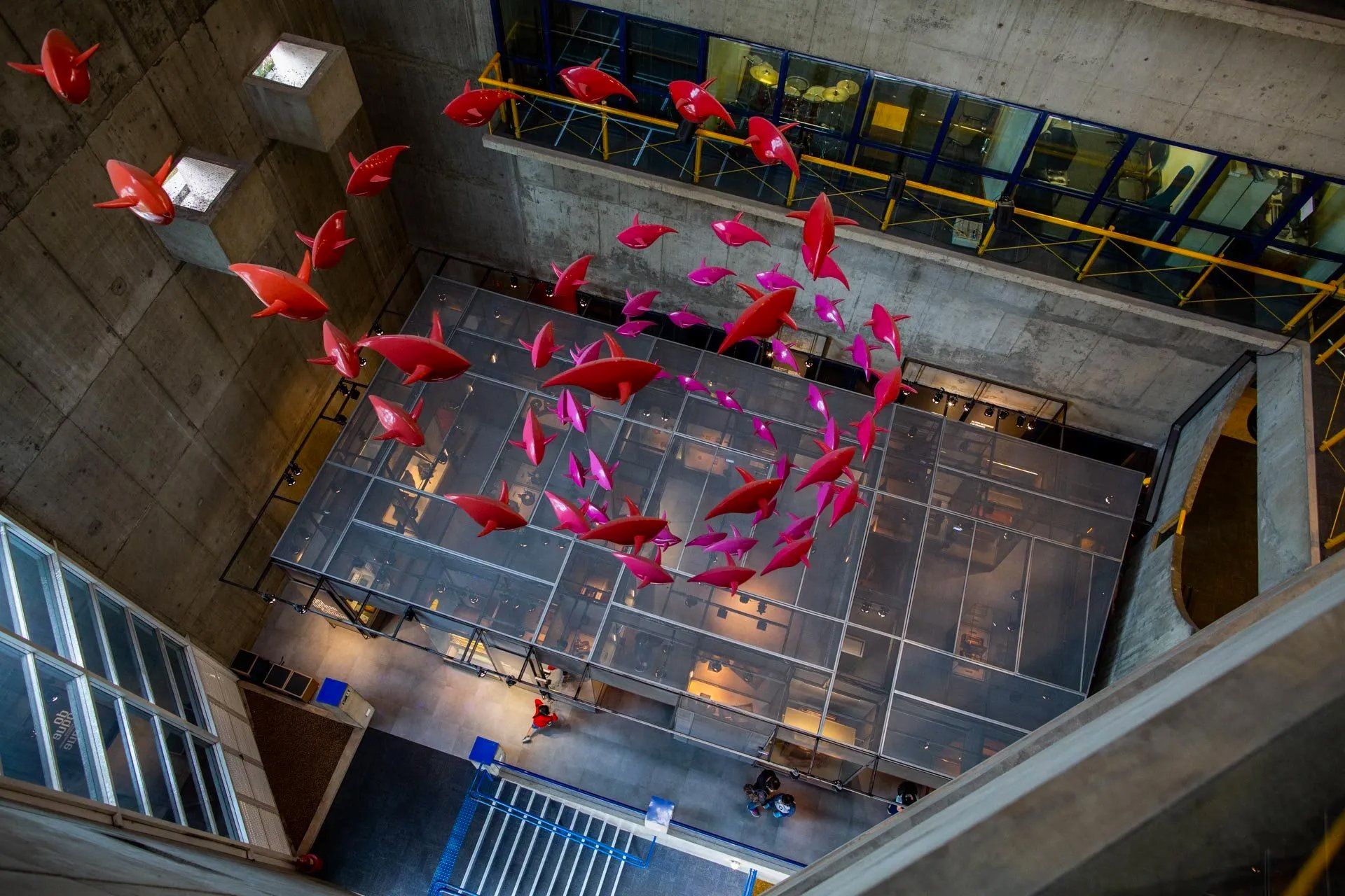Um bando de peixes vermelhos está pendurado no teto de um prédio.