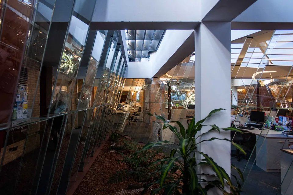 Um quarto com muitas janelas e uma planta no meio