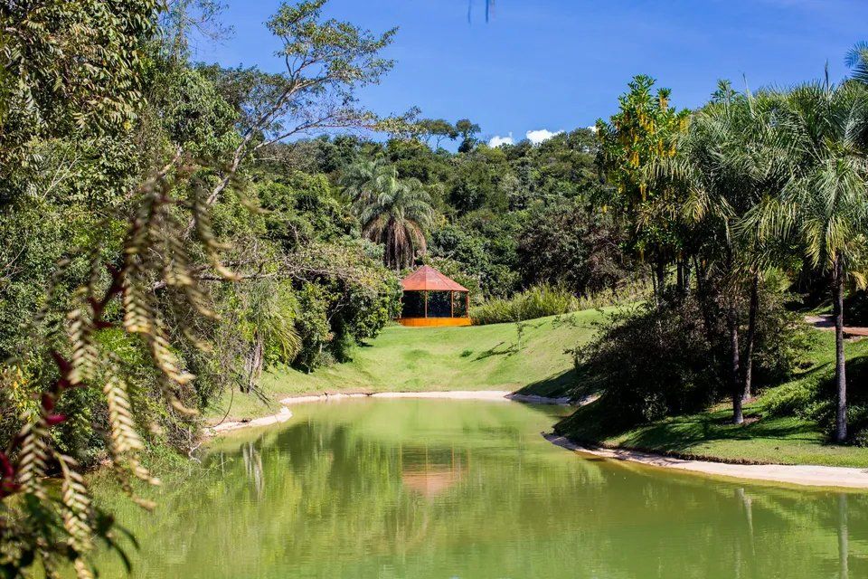 Há um mirante no meio de um lago cercado por árvores.