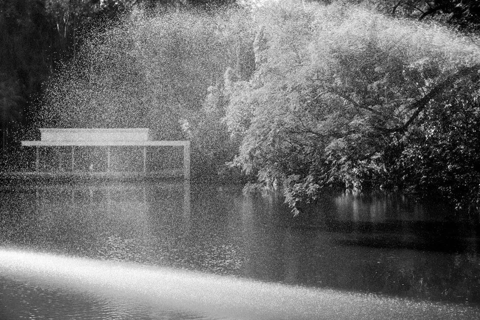 Uma foto em preto e branco de um lago com árvores ao fundo.