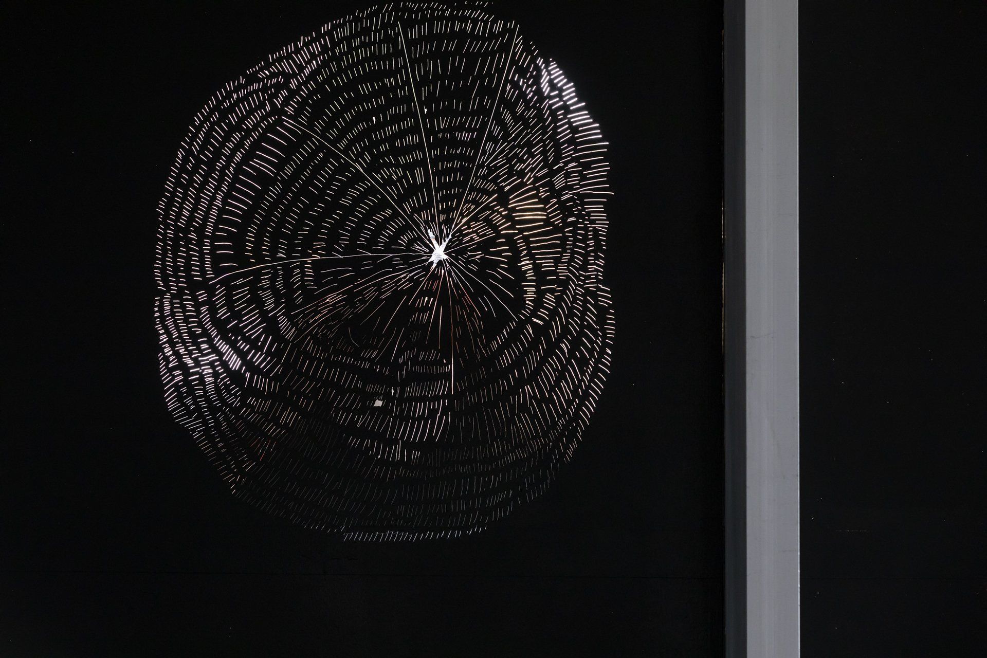 Um fundo preto com um círculo de luzes