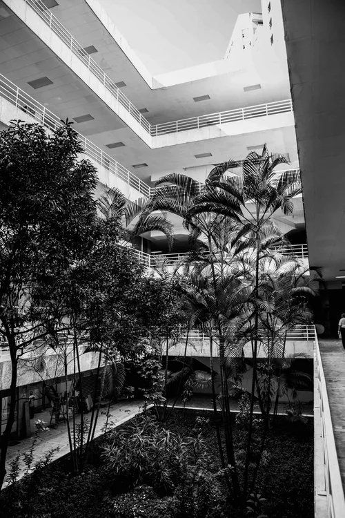 Uma foto em preto e branco de um grande edifício com muitas árvores e plantas.