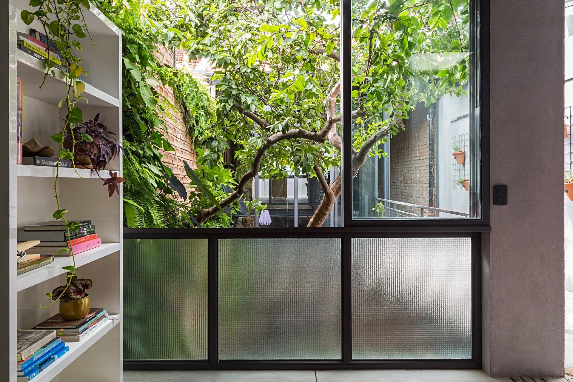 Há uma grande janela com vista para uma árvore.