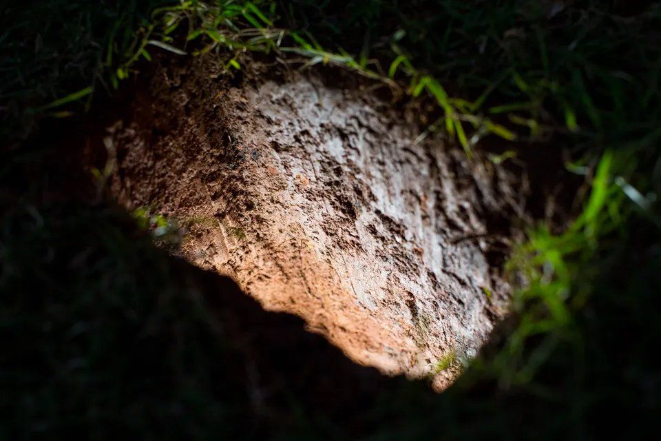 Um close de uma pedra na grama com uma luz saindo dela.