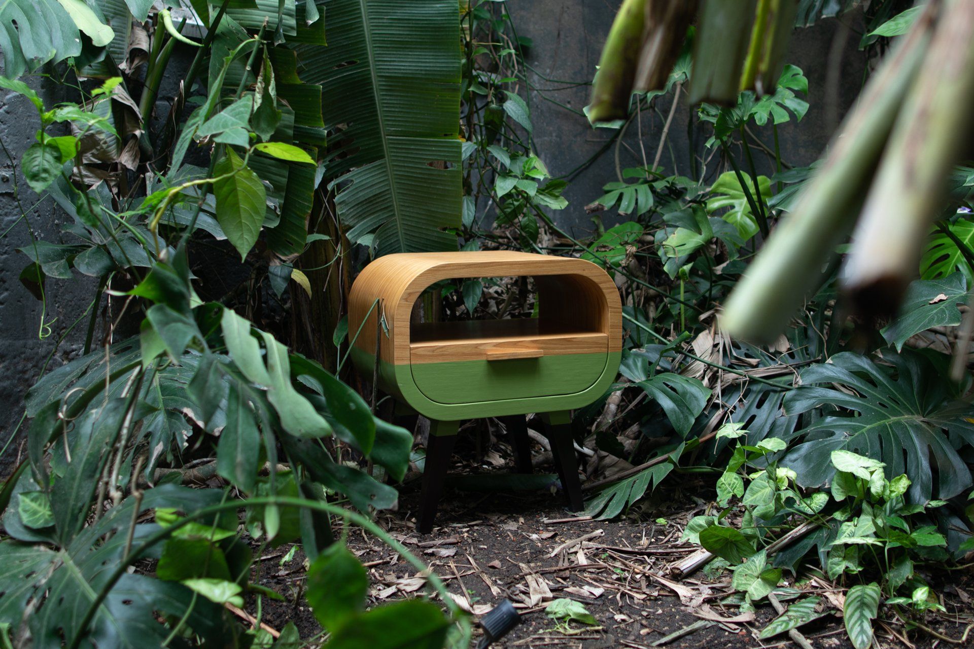 Uma pequena caixa de madeira está no meio de uma floresta verdejante.