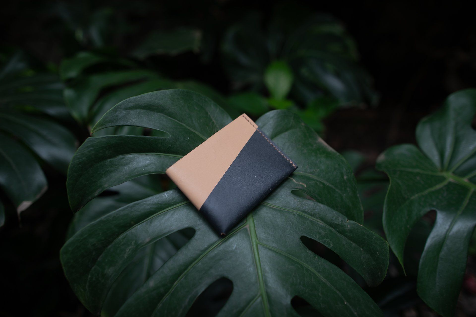 Uma carteira preta e castanha está em cima de uma folha verde.