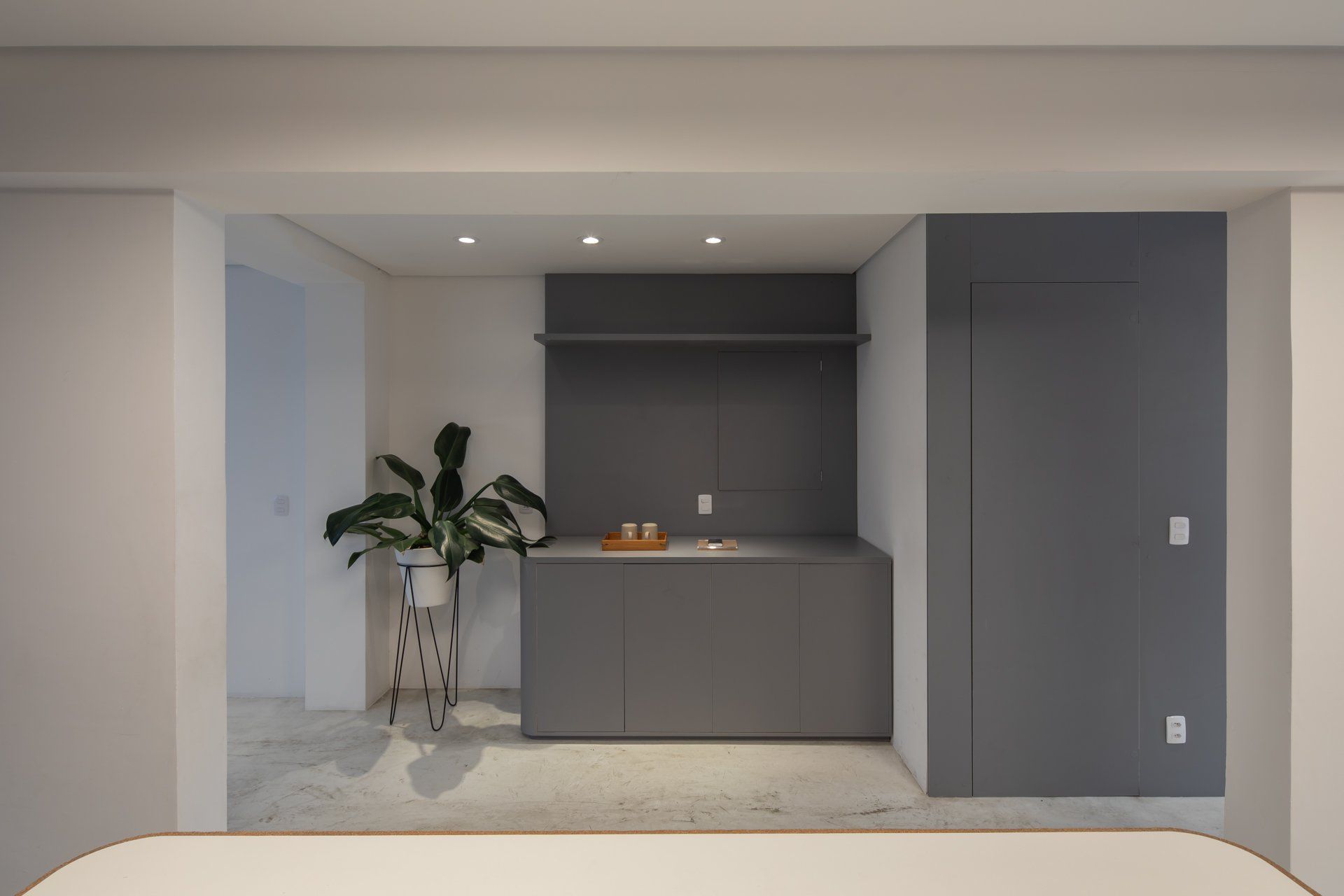 Há uma planta no meio da sala.