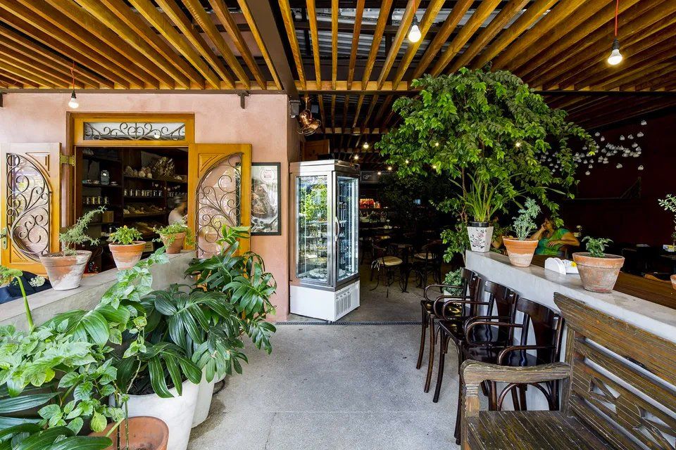 Um restaurante com muitos vasos de plantas e uma vitrine