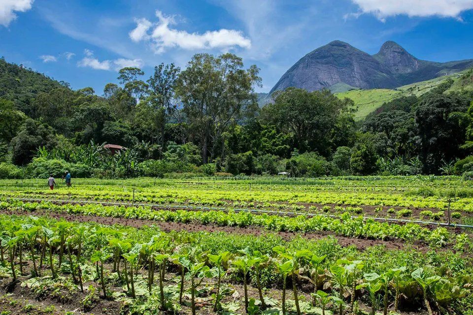 Pousada da Alcobaça