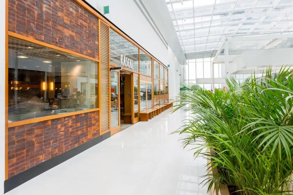 Um grande edifício com muitas janelas e plantas na frente.