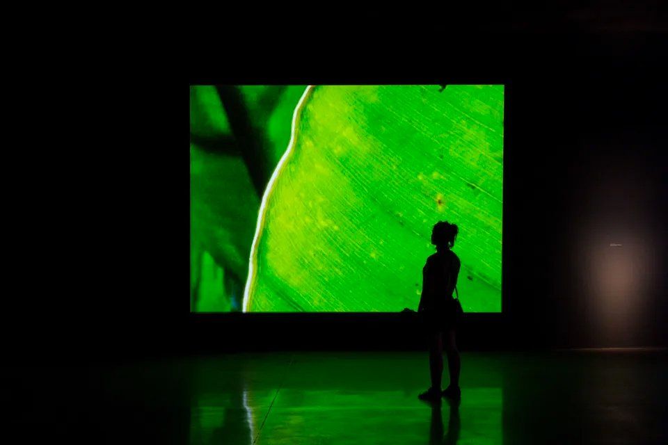 Uma pessoa está diante de uma grande tela verde em uma sala escura.