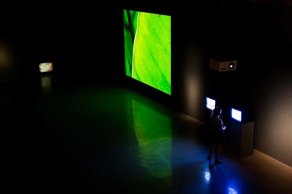 Uma pessoa está diante de uma tela grande em uma sala escura.