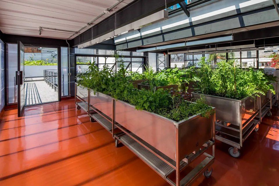 Uma sala com muitos vasos de plantas no chão.